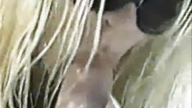 مادر مقعد لیزا آن سوپر سکس زن وشوهر شاخدار دیوانه می شود