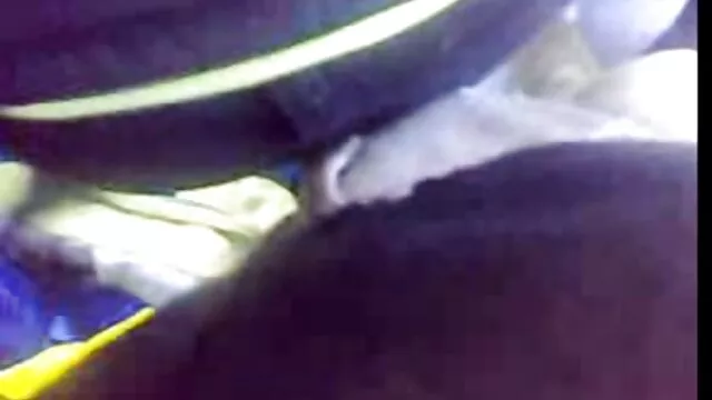 فیلدز و دوست دخترش گربه و احمق دانلود فیلم سوپر زنان دوجنسه استفراغ می کنند