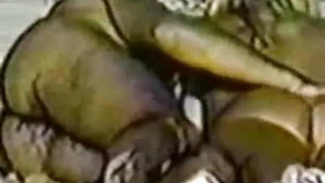 تلفیقی عظیم از جمع کردن صورت فیلم سوپر دو زن ویک مرد